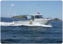 DEEP BLUE DIVING