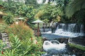 Volcn Arenal con aguas termales Tabacn