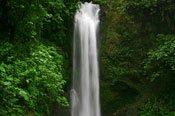 Combo Tour (Doka-Poas-Cataratas)