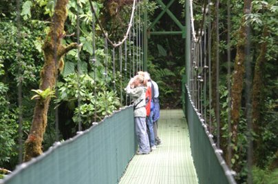 Natural History Walks
