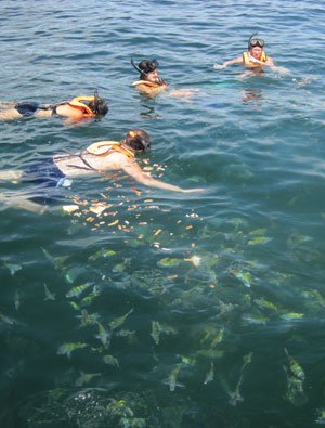 Calypso's cruice to Tortuga Island